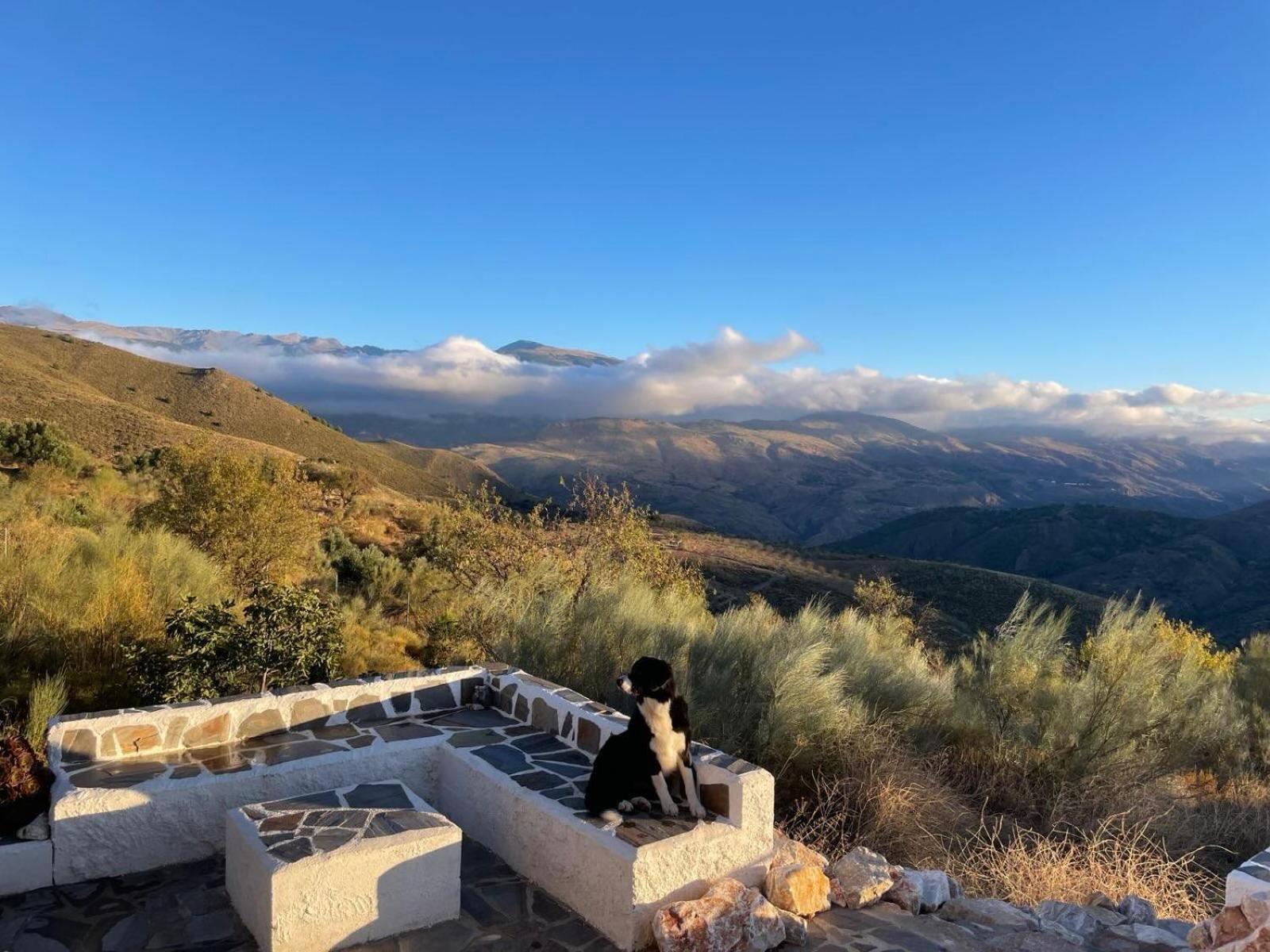 Cortijo La Vista Villa Orgiva Bagian luar foto